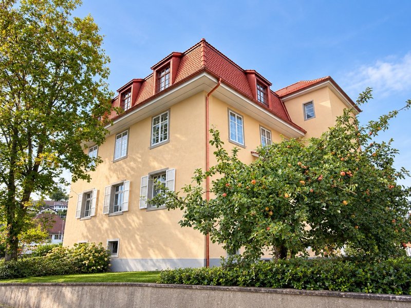 Foto 1 von Elsau