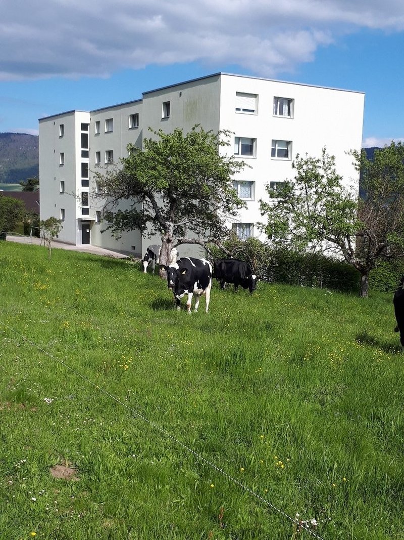 Photo 8 de Rue du Puits 5, Chézard-St-Martin