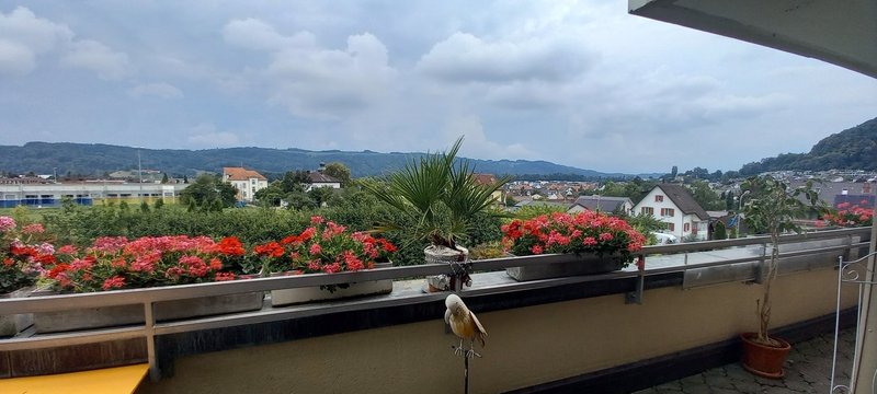 Foto 1 di Würenlos