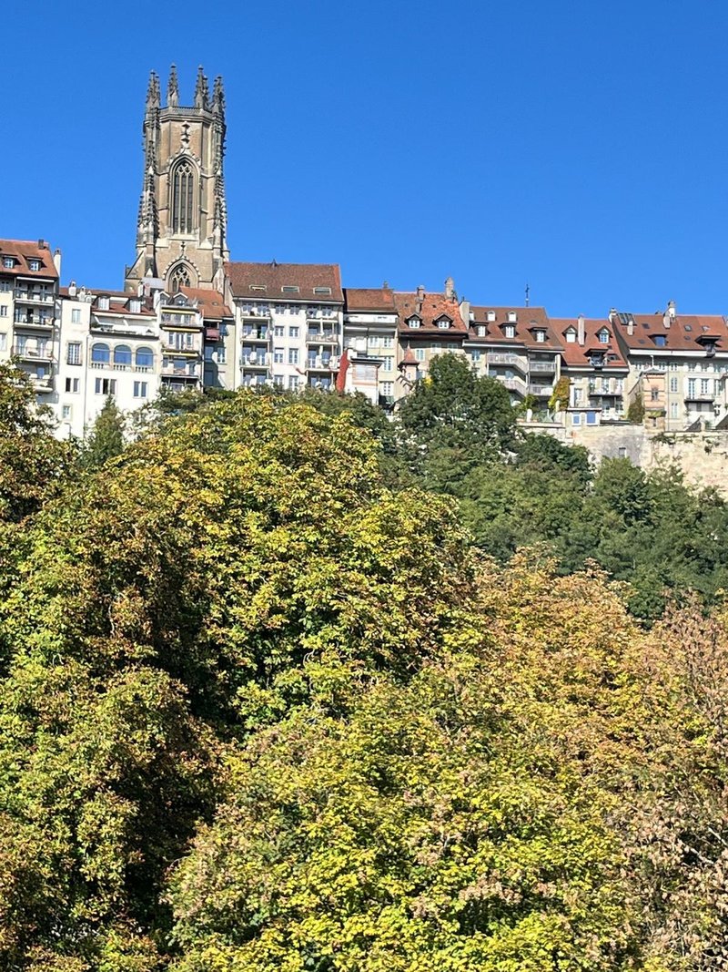 Foto 6 di Grand-Rue 15, Fribourg