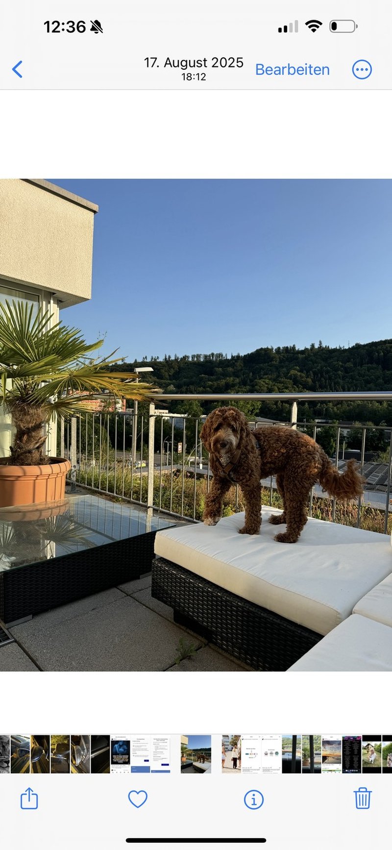 Foto 4 von winterthur