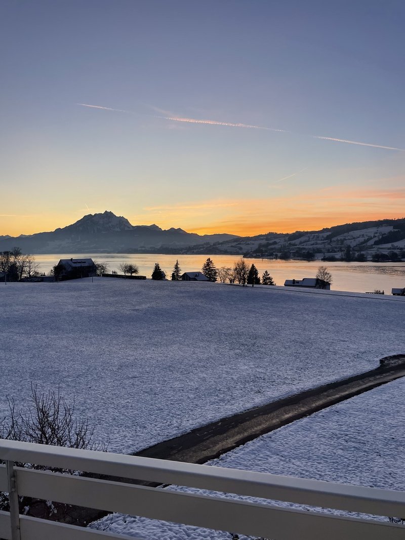 Photo 8 of Seeheimweg 2, Küssnacht am Rigi