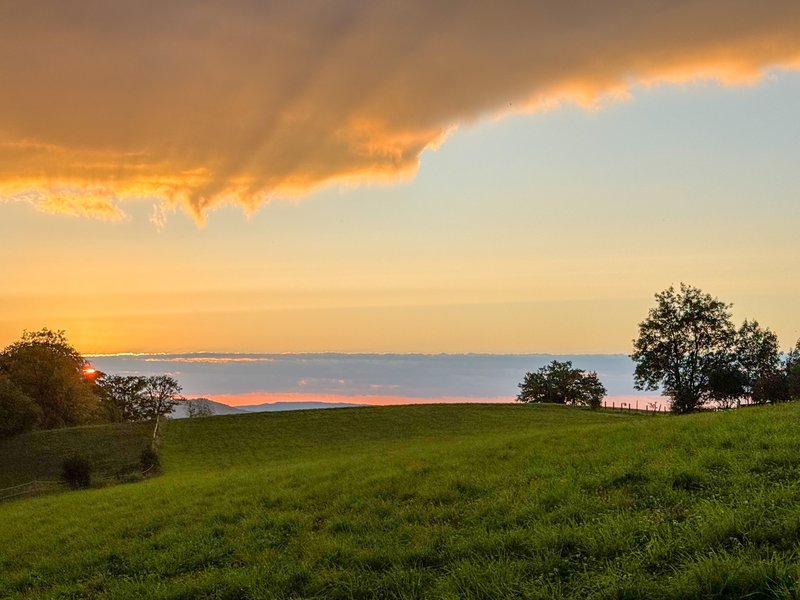Photo 4 of Zollikerberg