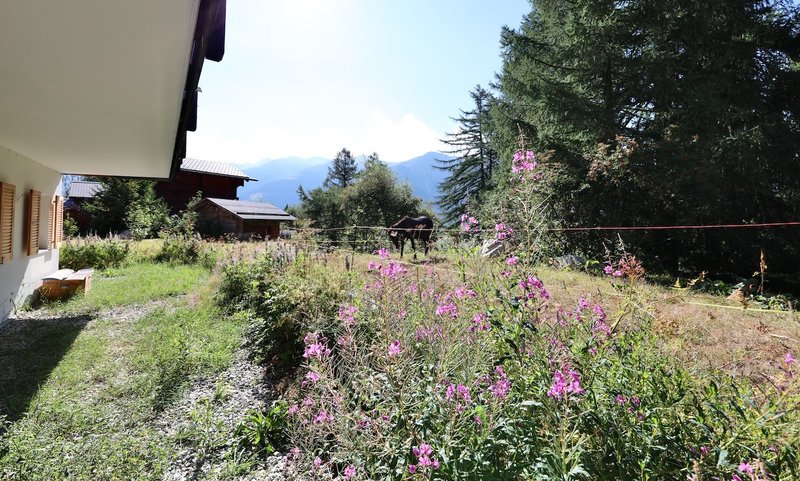 Photo 8 of Gommer Höhenweg 18, Bellwald