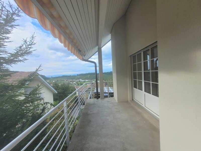 Photo 4 of Haufen 650, Lutzenberg