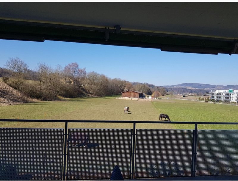 Photo 3 of Weiach