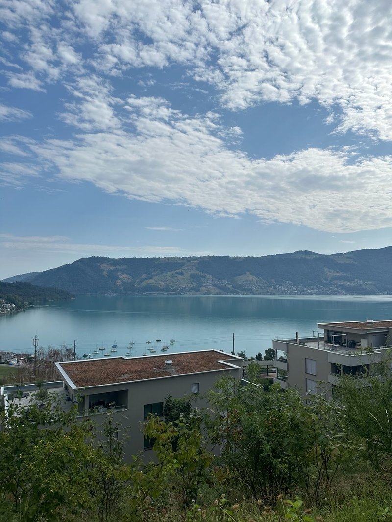 Photo 7 of Ribetschi 3, Immensee