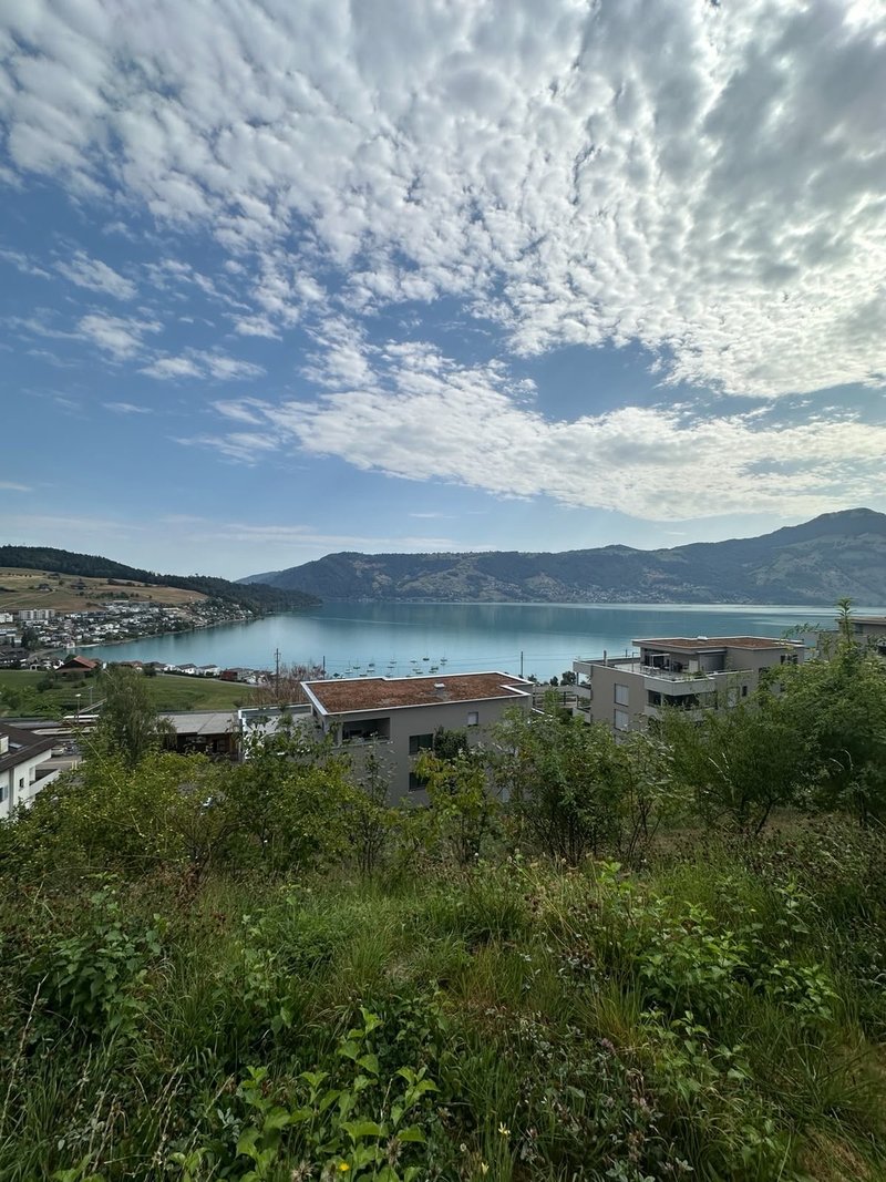 Photo 8 of Ribetschi 3, Immensee