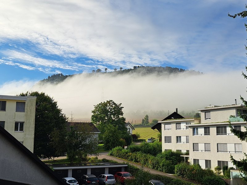 Foto 8 von Königsweg 4A, Frick