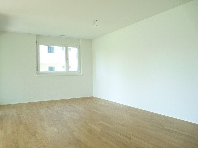 Foto 5 von Ländernachstrasse 50, Widnau