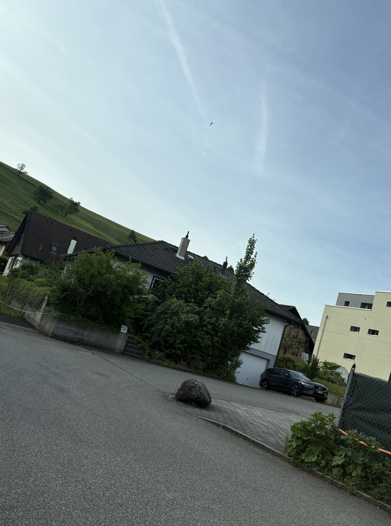 Photo 3 de Neuheim