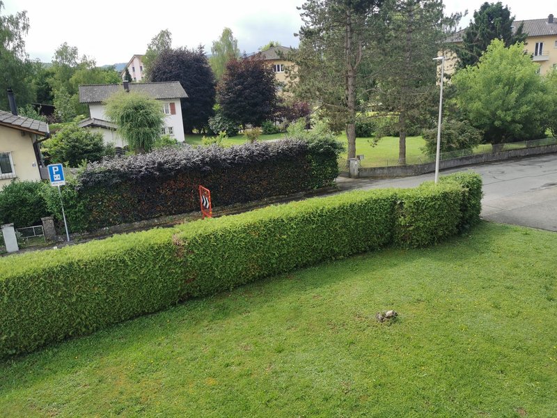 Foto 7 von Sous Bellevue 5, Porrentruy