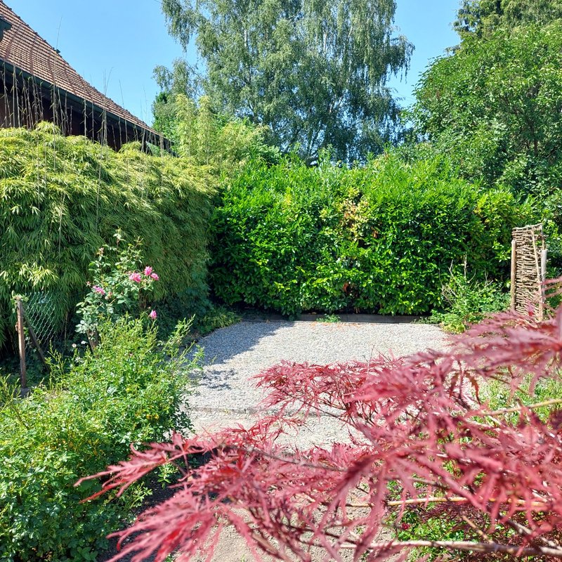 Photo 8 de Dorfstrasse 8, Thierachern