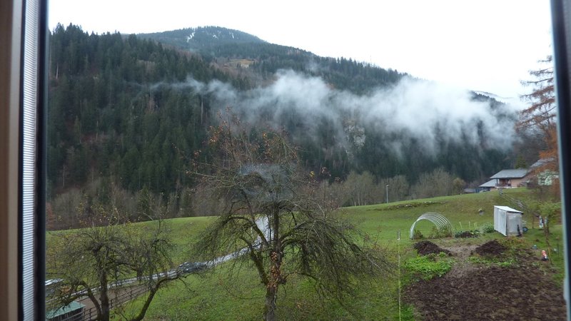 Foto 2 von Danis