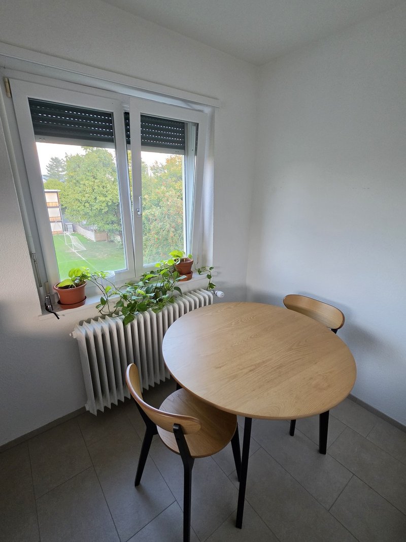 Foto 7 di Schweighofstrasse 406, Zürich