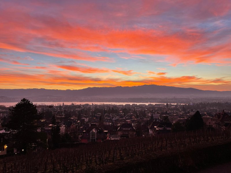 Foto 4 di Hölderlinstrasse 12, Zürich