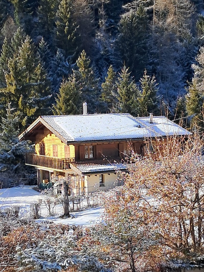 Photo 7 of Route de Chou, 55, Ovronnaz