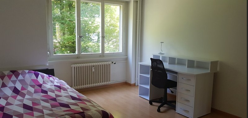 Foto 2 di bern