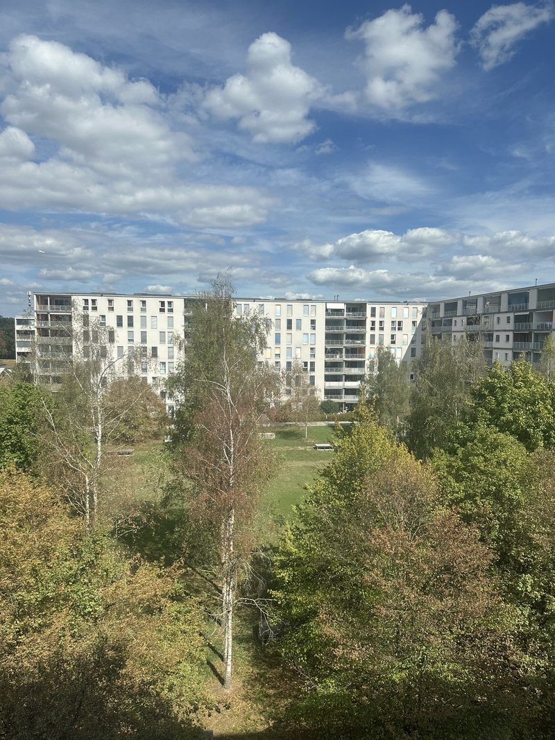 Photo 5 of Michael Maggi Strasse 20, Zurich