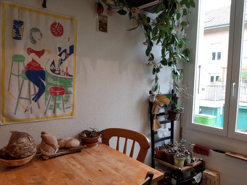 Foto 5 di Bern