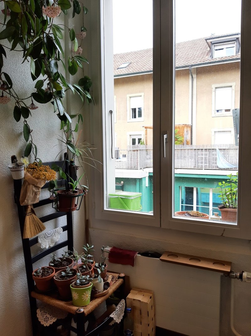 Foto 6 di Bern