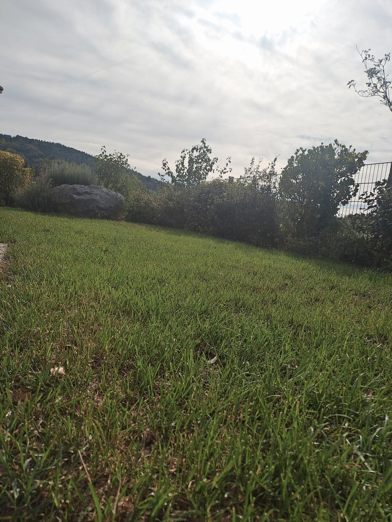 Foto 4 di Bergstrasse, Boppelsen