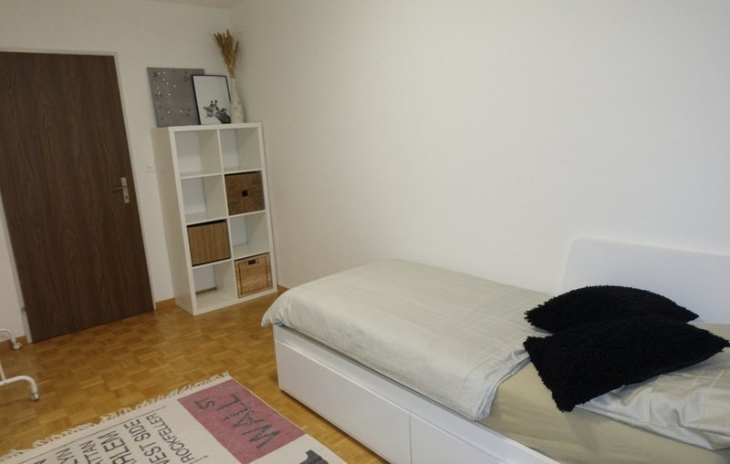 Foto 5 von dübendorf
