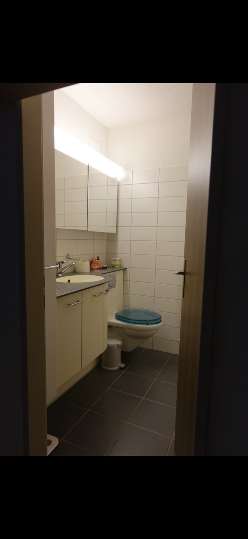 Foto 8 von dübendorf
