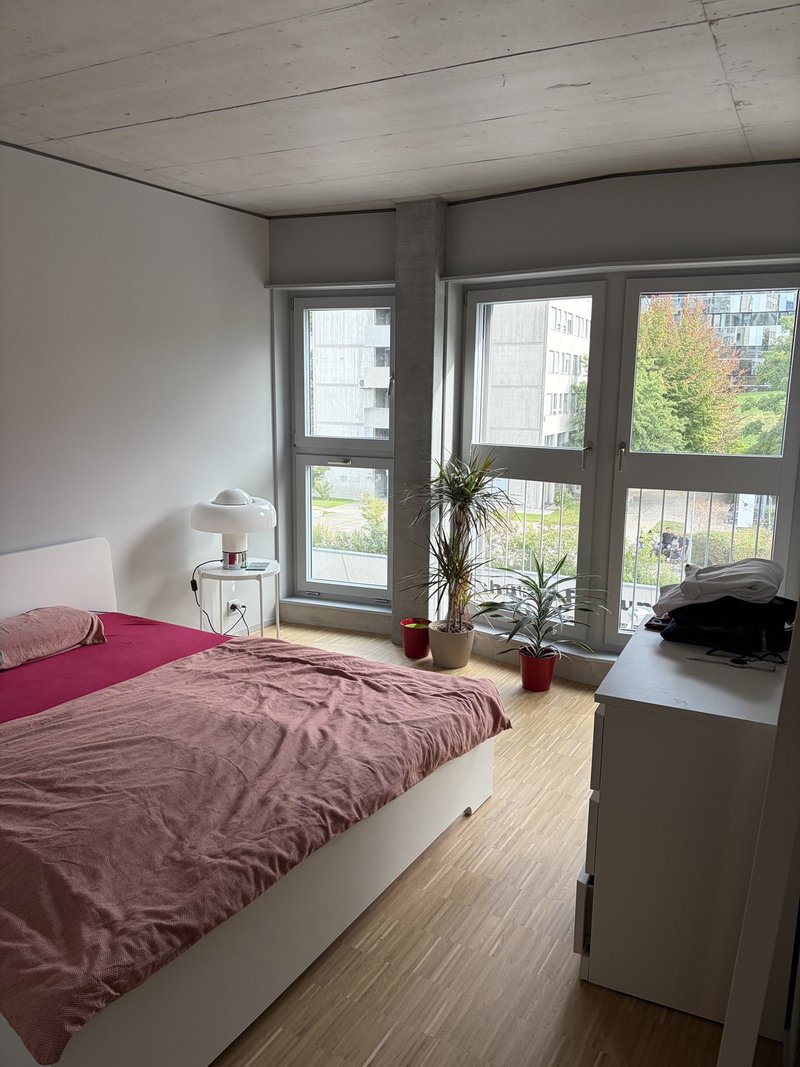Photo 4 of Birmensdorferstrasse, 485, Zürich