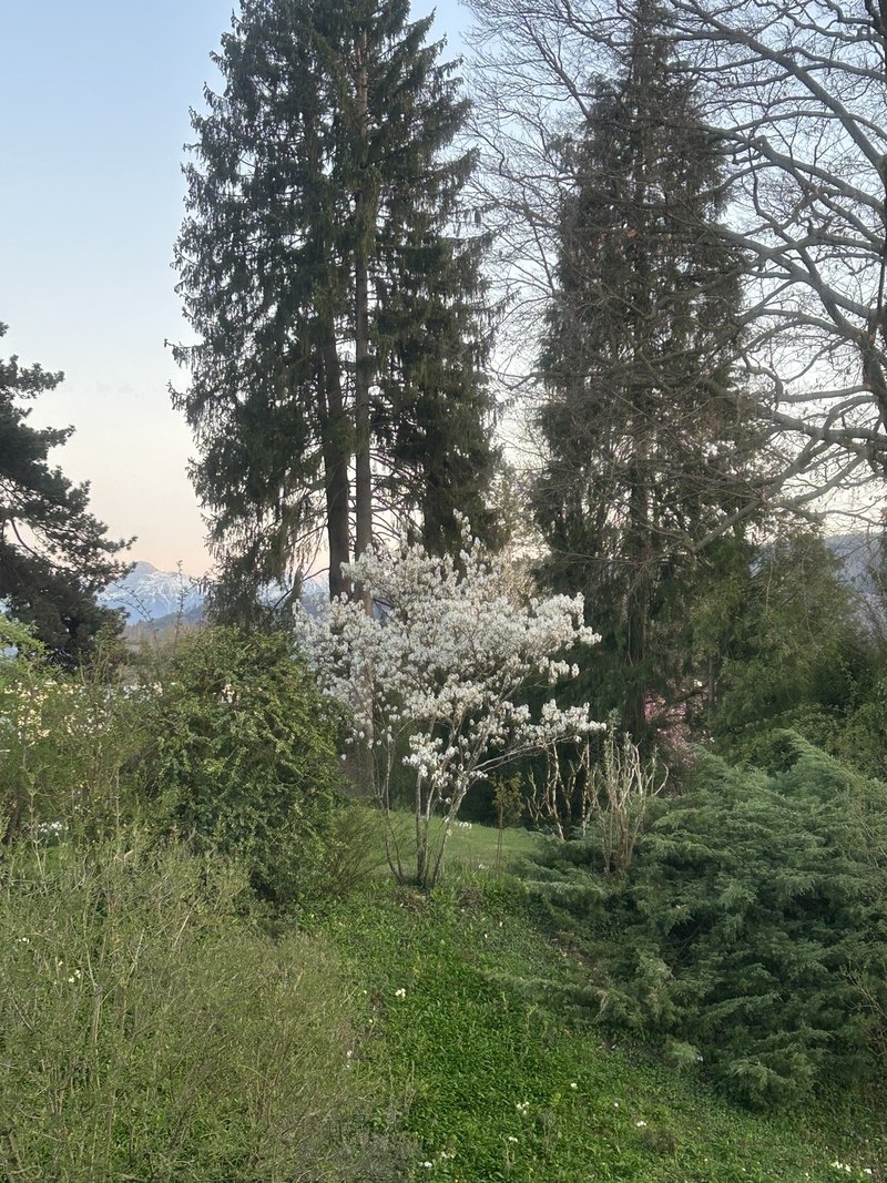Photo 2 of Muri Bei Bern