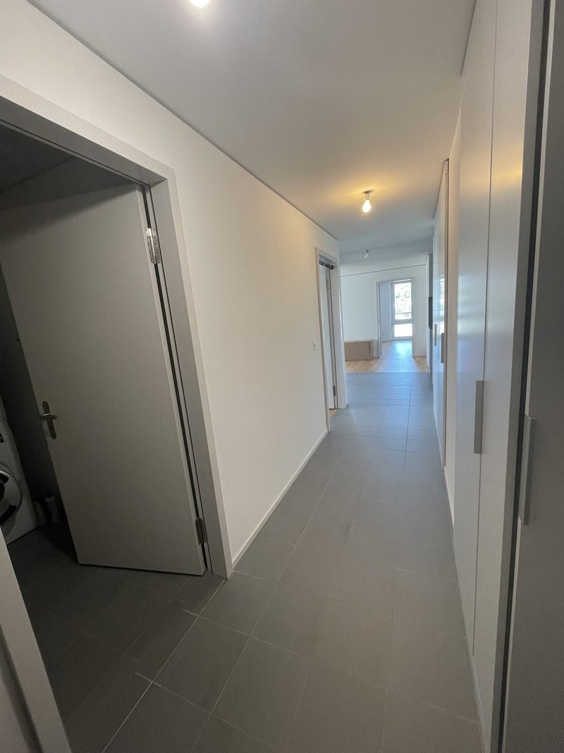 Photo 7 of Zurich