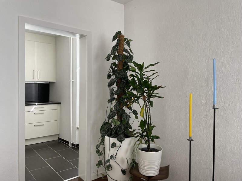Photo 6 of Gletscherstrasse 6, zurich