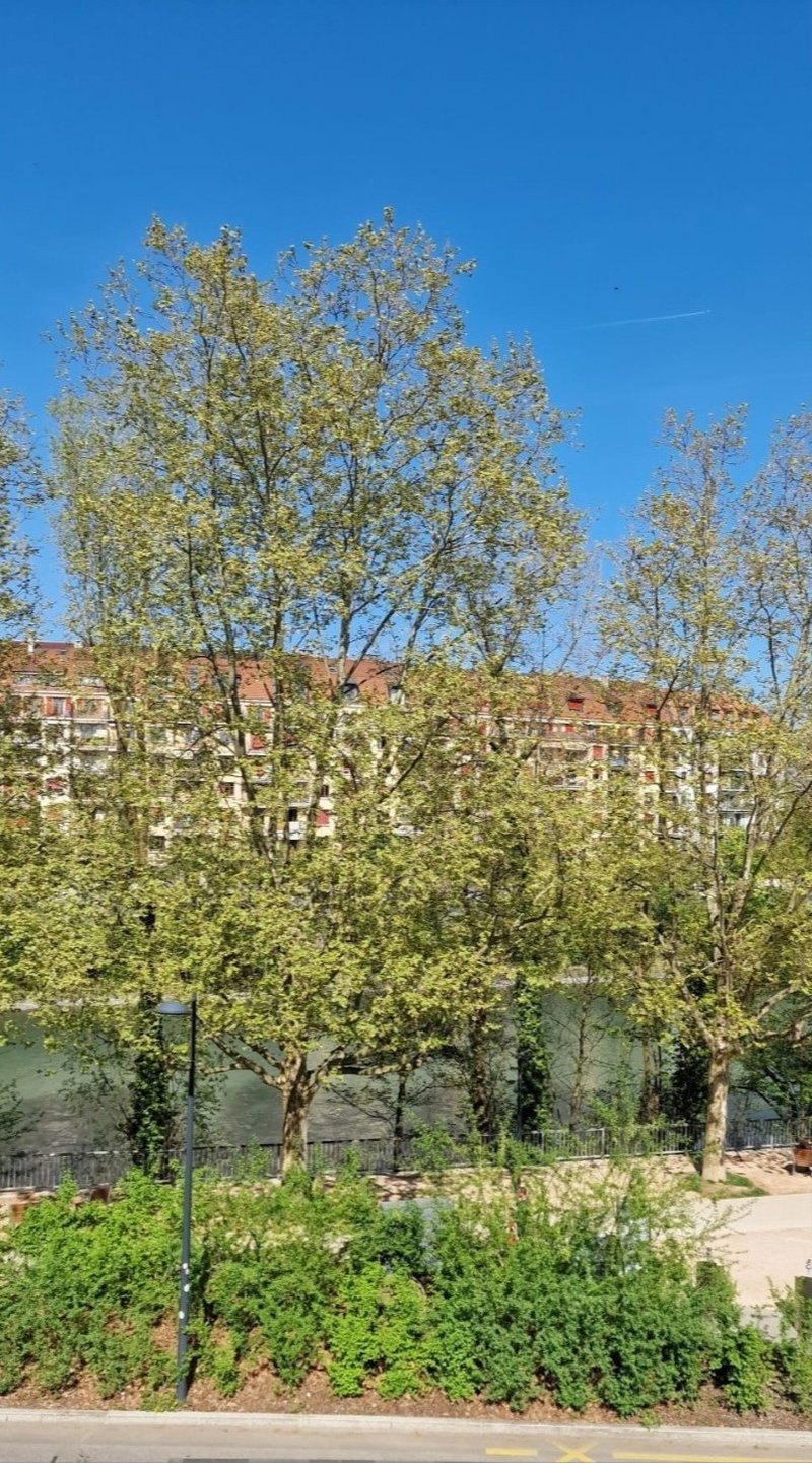 Foto 5 di Avenue Cardinal Mermillod 4, Carouge