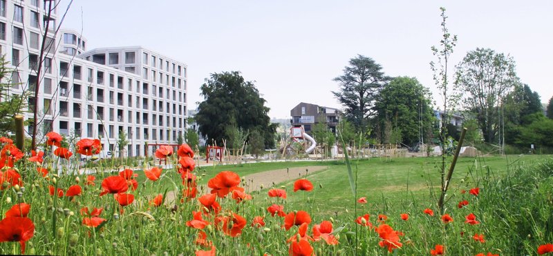 Foto 2 von Parc du Loup 5A, Lausanne
