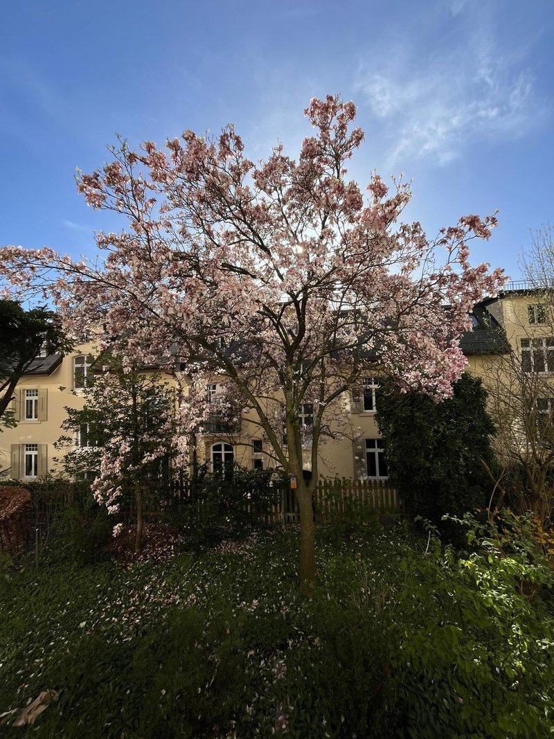 Photo 2 of Sonneggstrasse, ZH