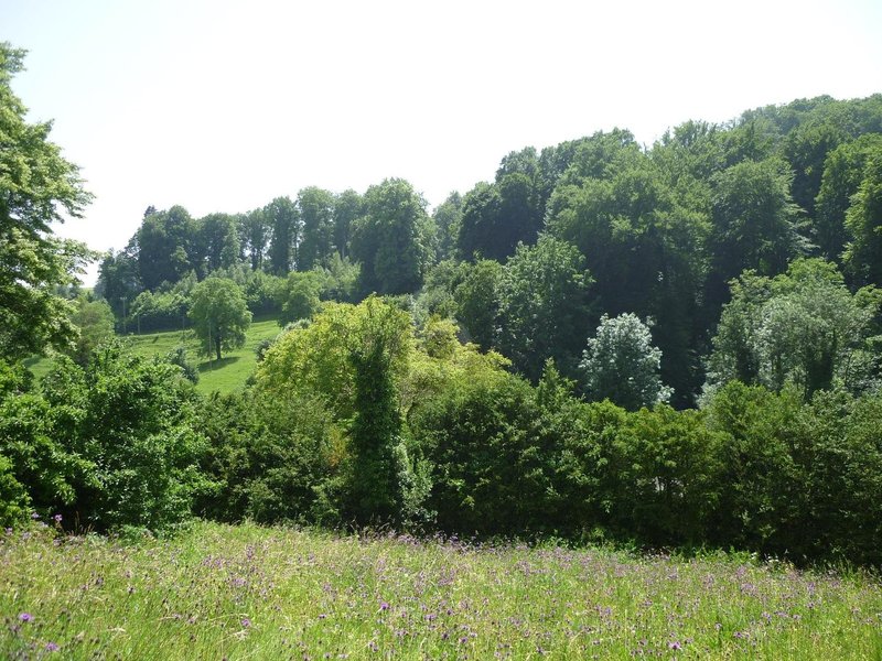 Foto 2 di Sur demande, Romainmôtier