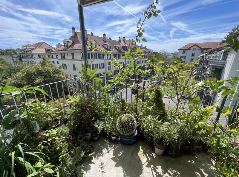 Photo 2 de Aebistrasse, 15, Bern