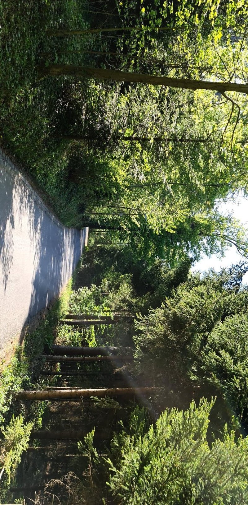 Foto 5 von Zürich