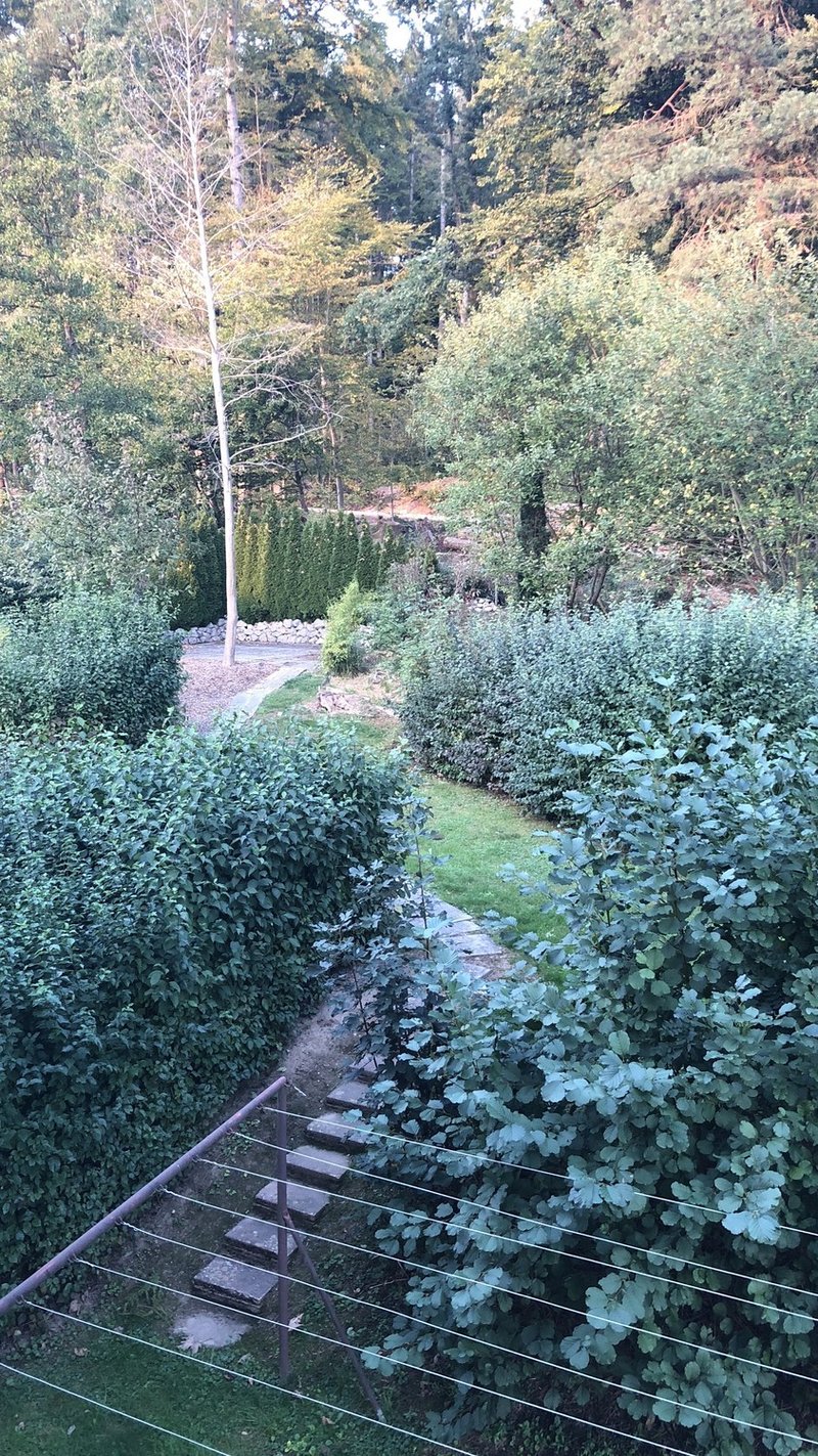 Photo 8 of Waldpark 23, Oftringen