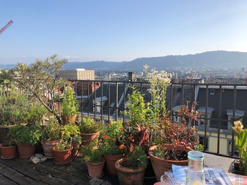 Photo 2 of sonneggstrasse, zürich