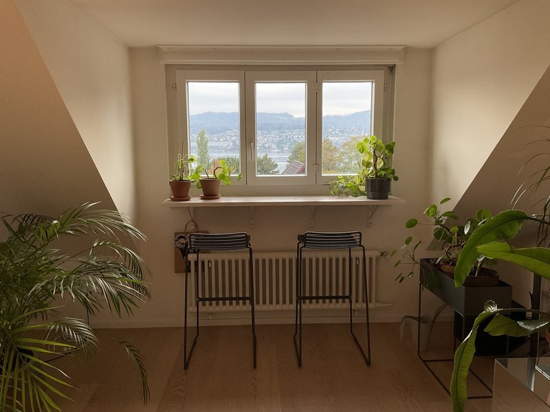 Foto 1 von Erlenbach