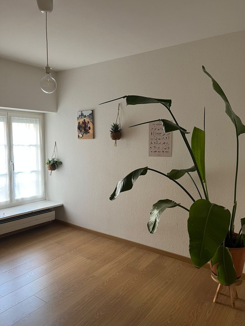 Photo 5 of Liestal