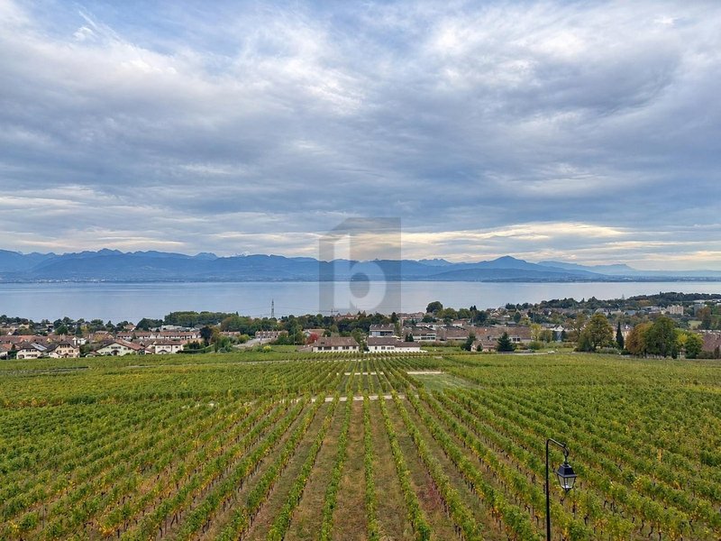 Photo 2 of Sur demande, Mont-sur-Rolle