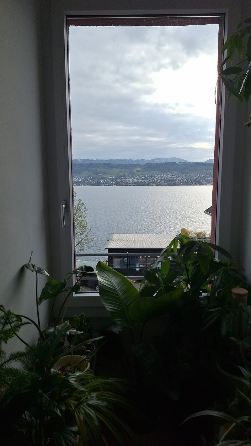 Foto 8 von Seestrasse 149, Herrliberg