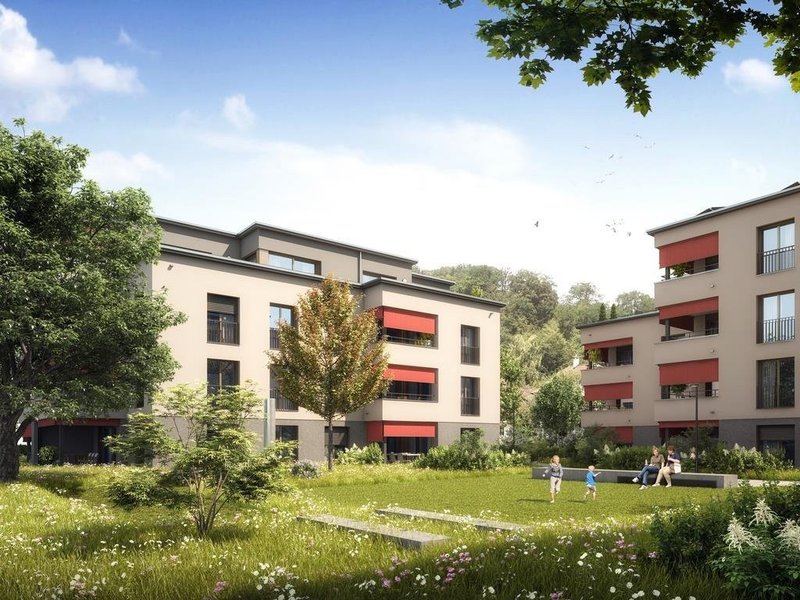 Photo 1 de Reinach BL
