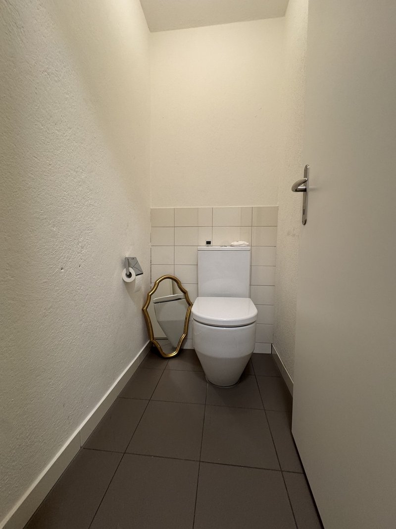 Foto 2 di Forchstrasse 331, Zürich