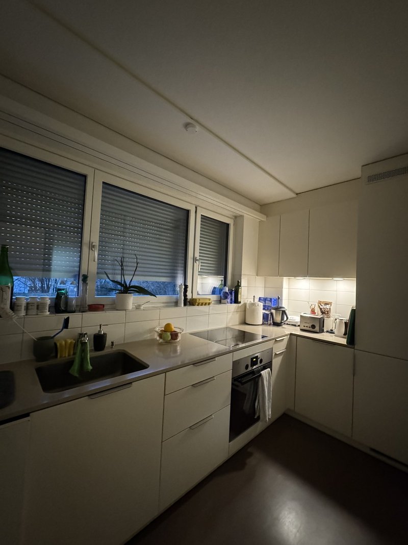 Foto 4 di Forchstrasse 331, Zürich